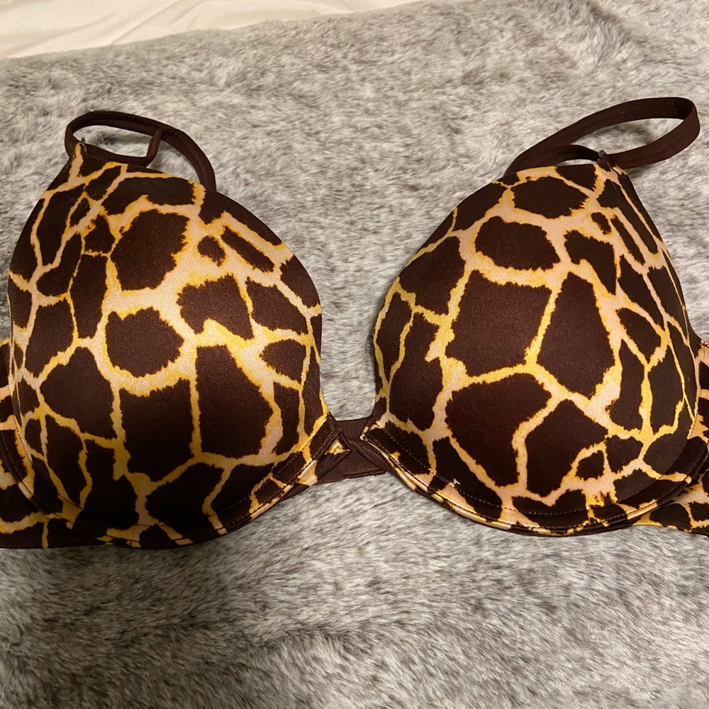 Safari bra